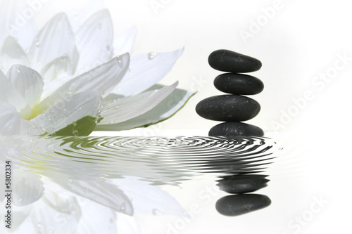 vibrations zen vibrations zen