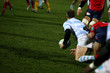 rugby