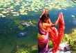 inde du  sud 
