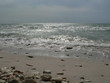 the wild beach