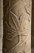 roussillon, elne, cloître : colonne de chapiteau