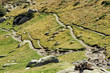 sentier