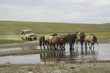 Expédition désert de Gobi en Mongolie