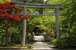 Torii, Kyoto, Japon