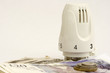 Thermostatic radiator valve saves you cash