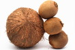 One coco and three kiwi