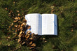 Open book on grass