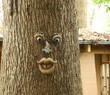 tree face