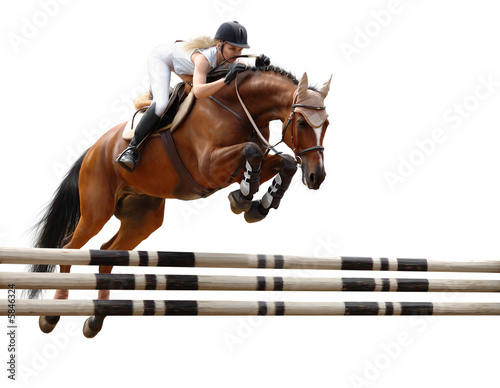 Foto: show jumping /stylized by oil painting/ - isolated on white show jumping /stylized by oil painting/ - isolated on white