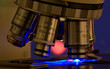 Wissenschaft