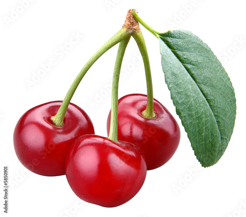 Photo : Cherry; objects on white background Cherry; objects on white background