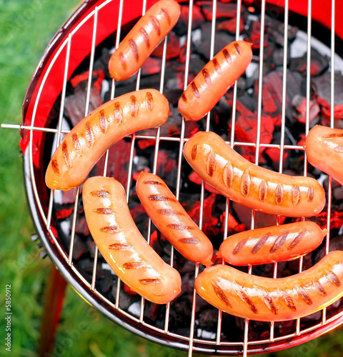 Photo: Sausages on a lattice. Sausages on a lattice.