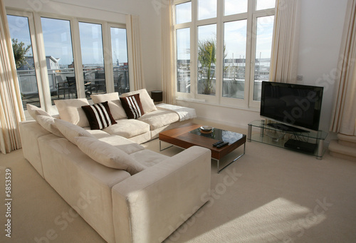Modern furnished living room with plasma TV