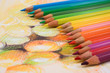 Assortment of coloured pencils on draw background