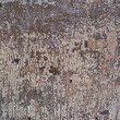 studio shot texture