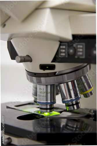 Foto: Wissenschaft Wissenschaft