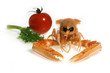 crostaceo