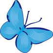 Schmetterling Schmetterling