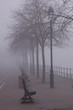 Foto: Line of benches and trees disappearing into the fog Line of benches and trees disappearing into the fog