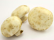 Mushrooms