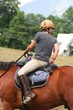 Sport equestre