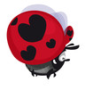 Illustration: coccinelle coccinelle