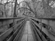 bridge over bayou trail in florida