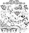 floral design elements