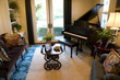 Grand piano in a luxury home. 