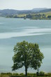 Lac Saint Point 3