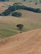 perspective toscane