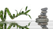 reflets zen
