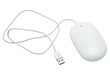 The mouse with a wheel on a white background The mouse with a wheel on a white background