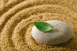 Zen garden
