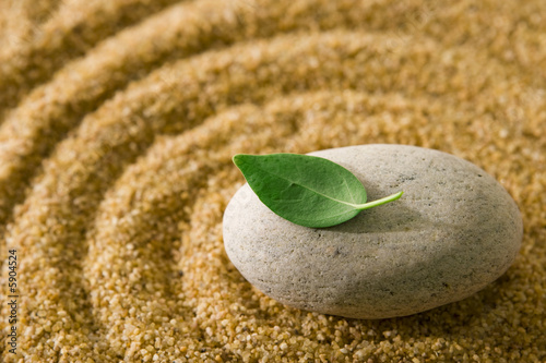 Zen garden