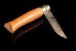 coltello