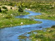 snake path of creek snake path of creek