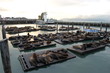 Seals