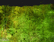 Abstract grunge background frame Abstract grunge background frame