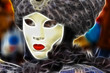 Venice carnival 2007