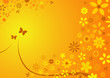 summer flower background