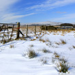 Bleak snowy scene taken on Dartmoor South Devon