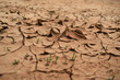 Surriscaldamento - Terreno arido