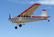 Cessna 180 coming in to land