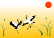 Dancing cranes in japan style