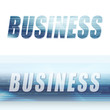 business