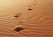 Footprints on the sand