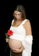 Pregnant woman holding a rose and looking at her belly. Pregnant woman holding a rose and looking at her belly.