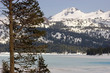 Late Spring Thaw - Caples Lake