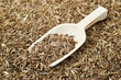 Caraway